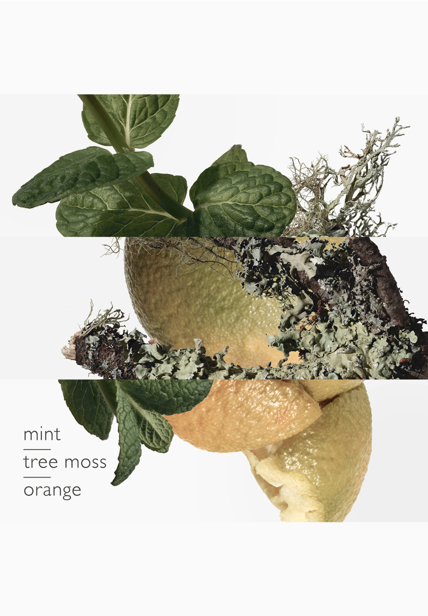 Eau d'orange verte Hermès Eau de cologne pas cher