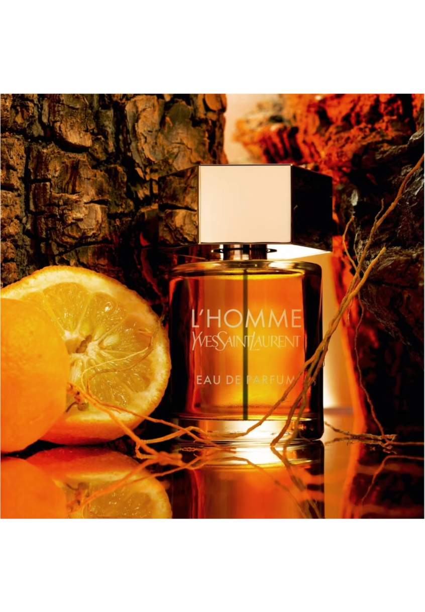 L'Homme Yves Saint Laurent Eau de parfum pas cher