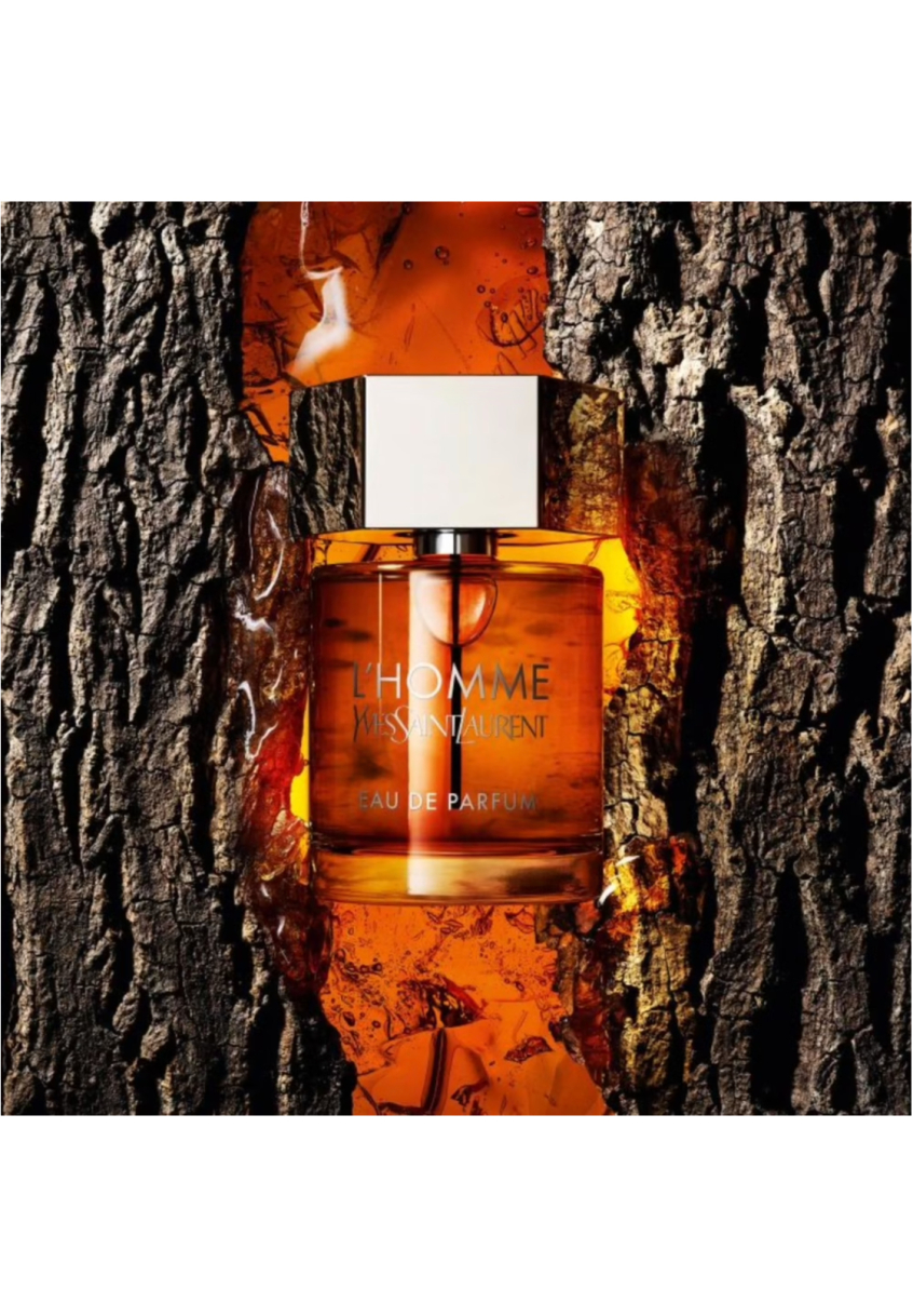 L'Homme Yves Saint Laurent Eau de parfum pas cher
