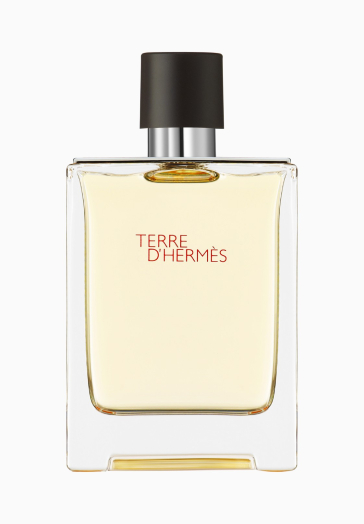 Terre d'Hermès Hermès Eau de toilette pas cher