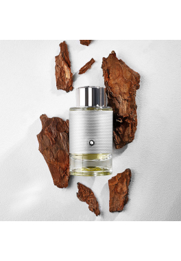 Explorer Platinum Montblanc Eau de parfum pas cher