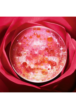 Absolue Lancôme Crème Fondante Régénérante Illuminatrice pas cher