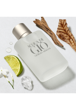 Acqua di Giò Armani Lotion Après-Rasage pas cher