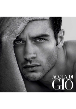 Acqua di Giò Armani Parfum pas cher