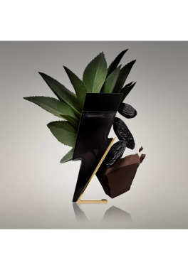 Bad Boy Carolina Herrera Eau de Toilette pas cher