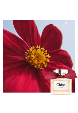 Chloé l'Eau de Parfum Intense Chloé Eau de Parfum Intense pas cher