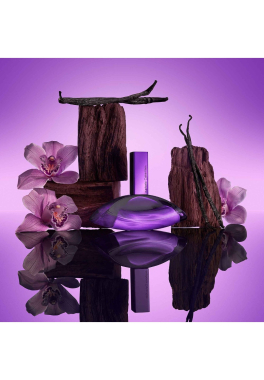 Euphoria Bold Elixir Calvin Klein Parfum pas cher