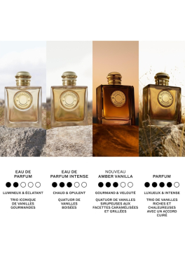 Goddess Amber Vanilla Burberry Eau de Parfum Intense pas cher