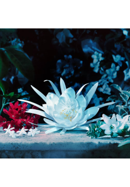 Gucci Bloom Gucci Eau de Parfum Intense pas cher