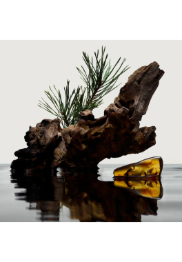 Hero Burberry Eau de Parfum pas cher