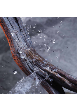 Invictus Rabanne Déodorant Stick pas cher