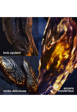 Invictus Victory Elixir Rabanne Parfum intense pas cher