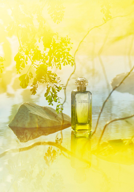 Le Jardin de Monsieur Li Hermès Eau de toilette pas cher