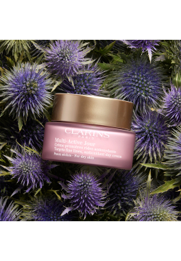 Multi-Active Jour Clarins Crème Peaux Sèches pas cher