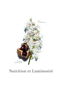 Nutri-Lumière Jour Clarins Soin Anti-Âge pas cher