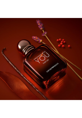 Stronger With You Armani Parfum pas cher