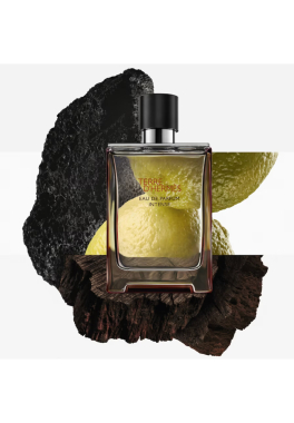 Terre d'Hermès Hermès Eau de Parfum Intense pas cher
