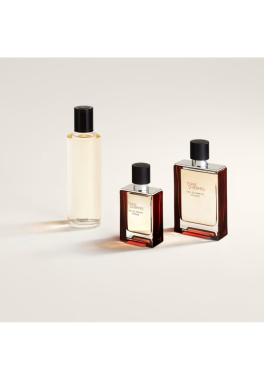 Terre d'Hermès Hermès Eau de Parfum Intense pas cher
