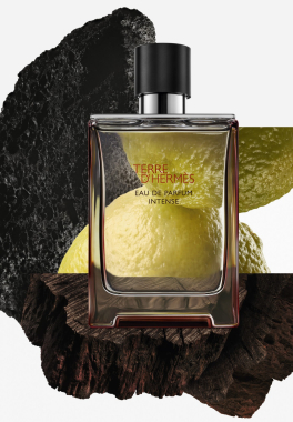 Terre d'Hermès Hermès Eau de Parfum Intense pas cher
