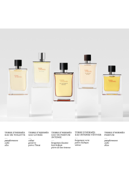 Terre d'Hermès Hermès Eau de Parfum Intense pas cher