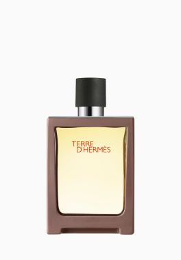 Terre d'Hermès Hermès Eau de toilette pas cher