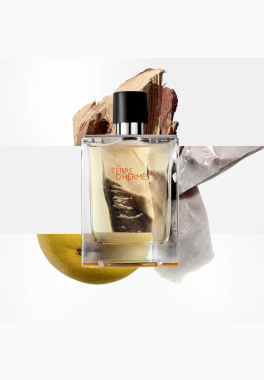 Terre d'Hermès Hermès Eau de toilette pas cher