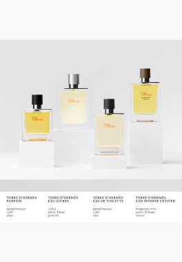 Terre d'Hermès Eau Givrée Hermès Eau de Parfum pas cher