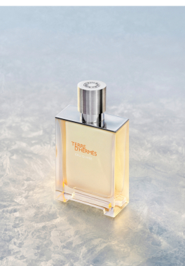 Terre d'Hermès Eau Givrée Hermès Eau de toilette pas cher