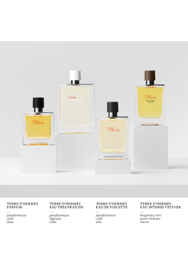 Terre d'Hermès Hermès Parfum pas cher