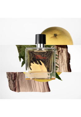 Terre d'Hermès Hermès Parfum pas cher