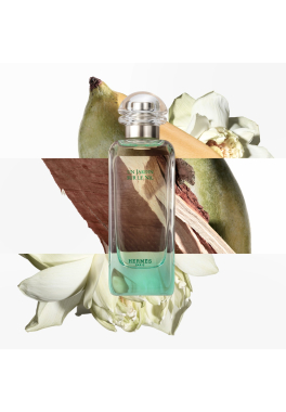 Un Jardin sur le Nil Hermès Eau de toilette pas cher