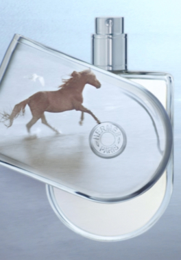 Voyage d'Hermès Hermès Eau de toilette pas cher