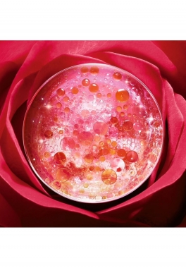 Absolue Lancôme Recharge Crème Riche Régénérante Illumin atrice aux Grands Extraits de Rose pas cher