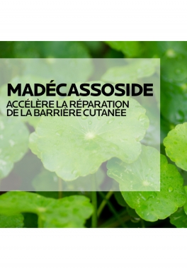 Cicaplast Baume B5+ La Roche Posay Baume réparateur apaisant pour les irritations cutanées et les marques pas cher