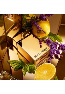 The One For Men GOLD Dolce & Gabbana Eau de Parfum Intense pas cher
