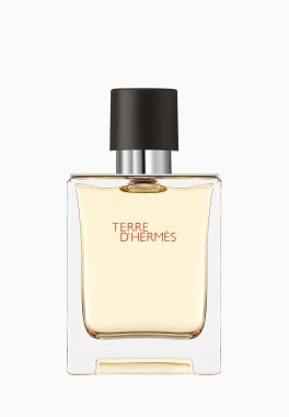 Terre d'Hermès Hermès Eau de toilette pas cher